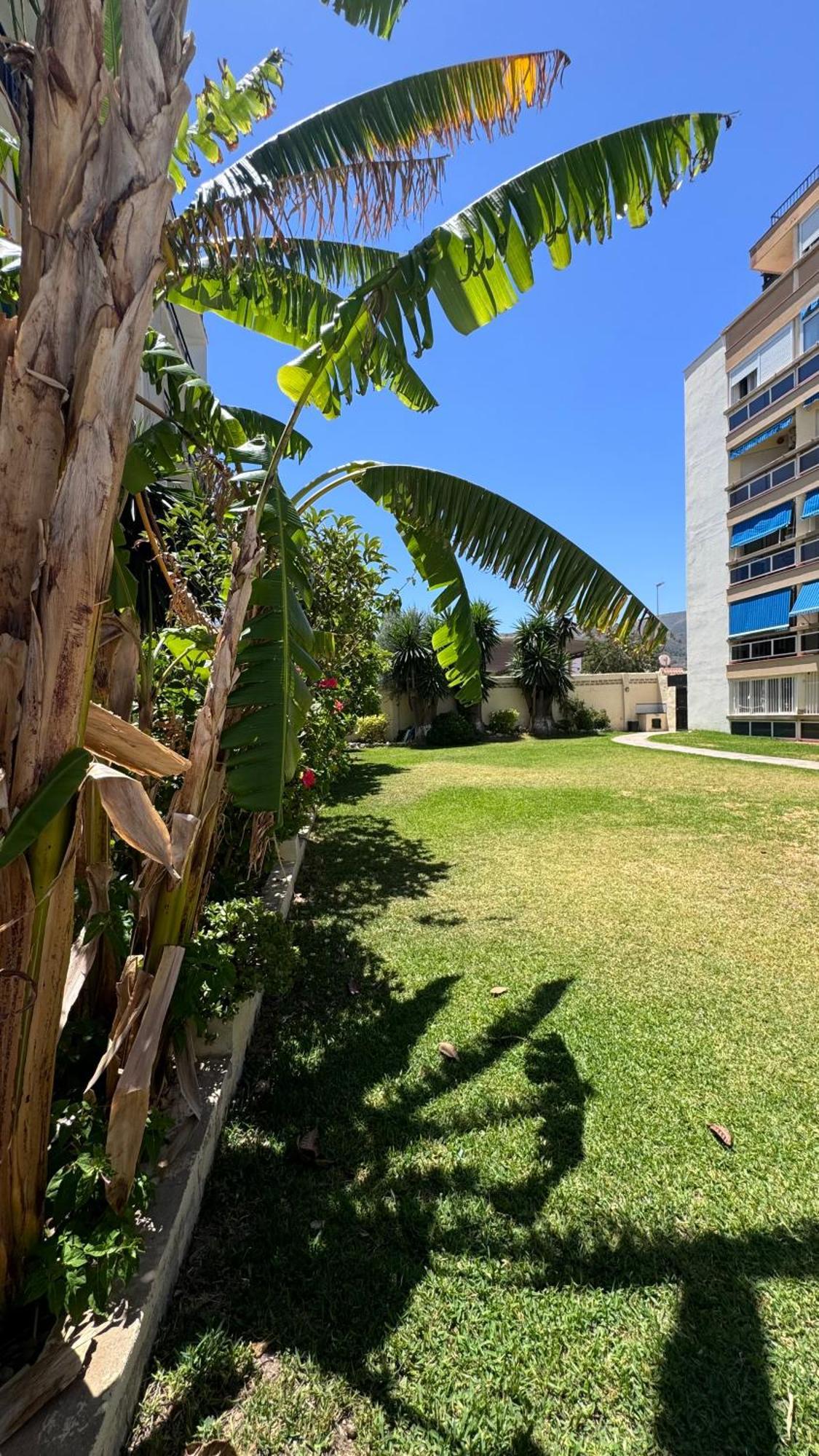 Cactus Stay Apartamento Torremolinos Eksteriør bilde